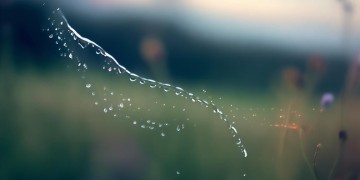 她的泪风干究竟是哪首歌？