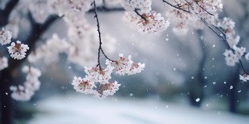 那首勇敢说不的日文歌究竟叫什么？