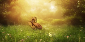 老外听的神曲天堂究竟是哪首歌？
