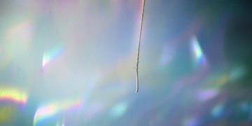 沉默的真究竟是什么歌？