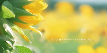 土味情话我想回家到底是哪首歌？