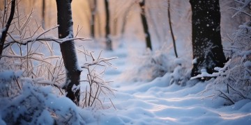 千里的雪出自哪首歌？