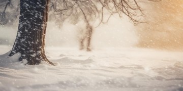我不惧风雪究竟是哪首歌？