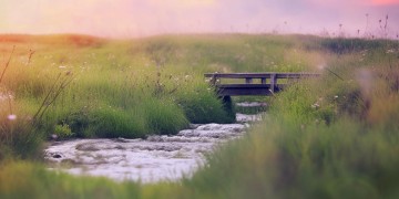 回忆不断涌来究竟是哪首歌？