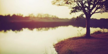 爱让我很疲惫究竟是哪首歌？