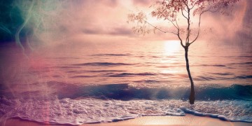 该勇敢时软弱究竟是哪首歌？