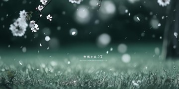 有没有我爱过你这句歌词出自什么歌？