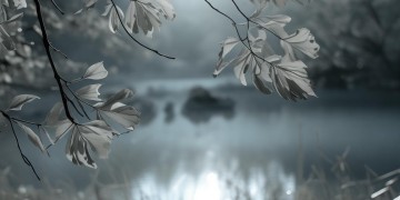 以后那么多的悲伤那么多的凄凉究竟是哪首歌？