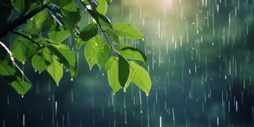 夏天的小雨是一首怎样的歌？