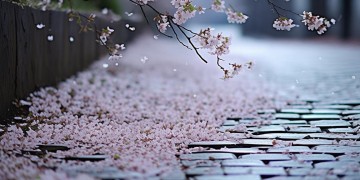 快要哭了歌词出自哪首歌？