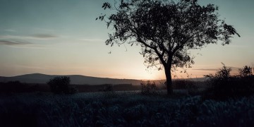 再绝望也不要放弃究竟是哪首歌？