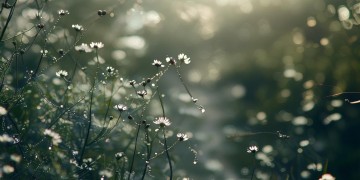 何必何歌词出自哪首歌？