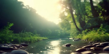 记忆渐渐模糊到底是哪首歌的歌词？