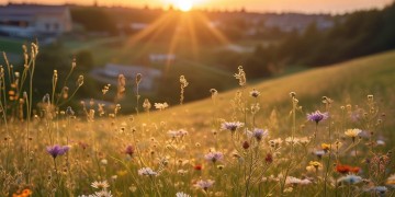 前面是个好日子究竟出自哪首歌？
