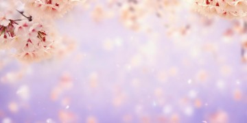 但愿你到最后到底出自哪首歌？