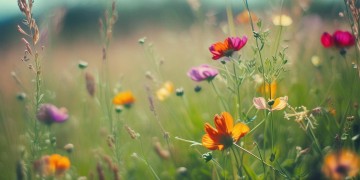 勇敢的活下去出自哪首歌？