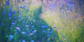 哥哥你要往哪走究竟是哪首歌？