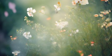 以后要活在缘分里出自哪首歌呢？