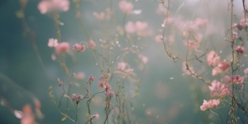 前世伤痕累累是哪首歌？