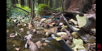 神仙颜值搭配什么歌会更好看呢？