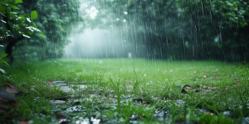 突然一场雨浇究竟是哪首歌？