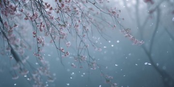 我要看伤感的照片这句歌词出自哪首歌？