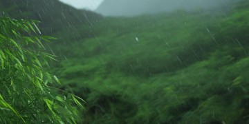 安溪下那么大的雨出自哪首歌？