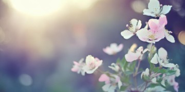 几天不见不散究竟是哪首歌？