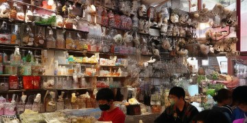 王菲唱过赵英俊写的歌是哪首？