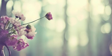 情感要不要放手究竟是哪首歌？