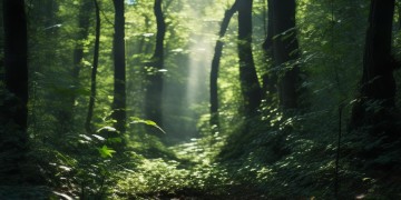 林俊杰带血的歌词究竟是哪首歌？