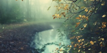 我的忧郁没人能懂究竟是哪首歌？