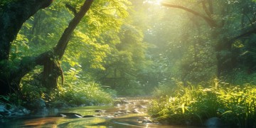 不管这世界有多美究竟是哪首歌？