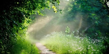 这段路我走的很累究竟是哪首歌？