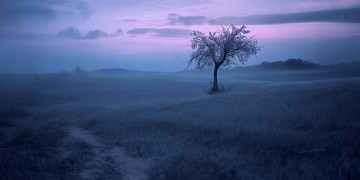 失望就会选择离开究竟是哪首歌？