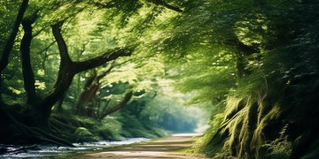 路过遇过都是你出自哪首歌？