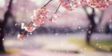 从此心里多了一个你出自哪首歌？