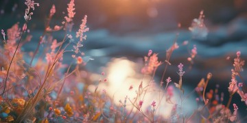 谁能令我这般动情究竟是哪首歌？