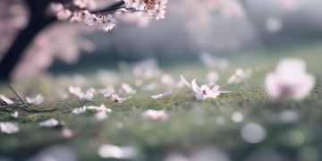 我还是散了吧出自哪首歌？