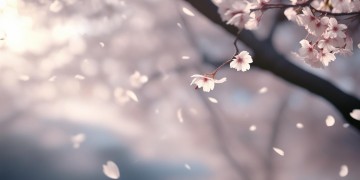 或许暂时的离开出自哪首歌？