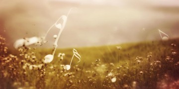 我那么无奈出自哪首歌呢？