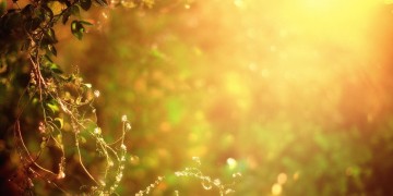 午后的暖阳和思念究竟是哪首歌？