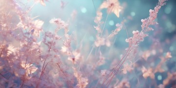 明明想非凡究竟是哪首歌的歌词？