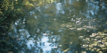 她们说我是怪物出自哪首歌？