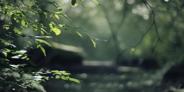 穷叉叉这首歌到底是什么歌？