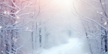 等初雪光临出自哪首歌？