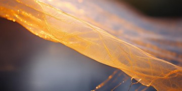 曾经我想要的东西出自哪首歌？