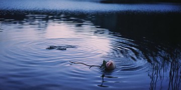 眼里的泪心里的血究竟是哪首歌？