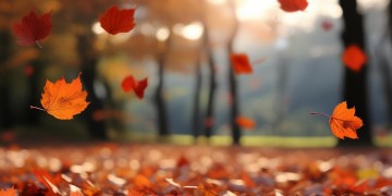 翻过了三秋出自哪首歌？