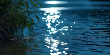 亲亲明月光出自哪首歌？